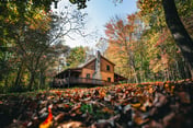 Dogwood - Hocking Hills