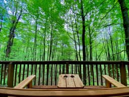 Elk - Hocking Hills
