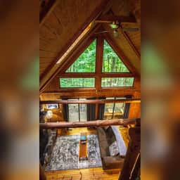 Elk - Hocking Hills