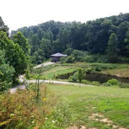 Lilypad - Hocking Hills