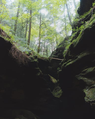 Cantwell Cliffs