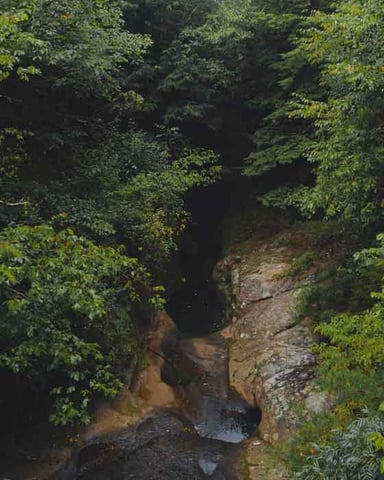 Clear Creek Metro Park