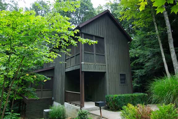 Ravine - Hocking Hills - Image 1