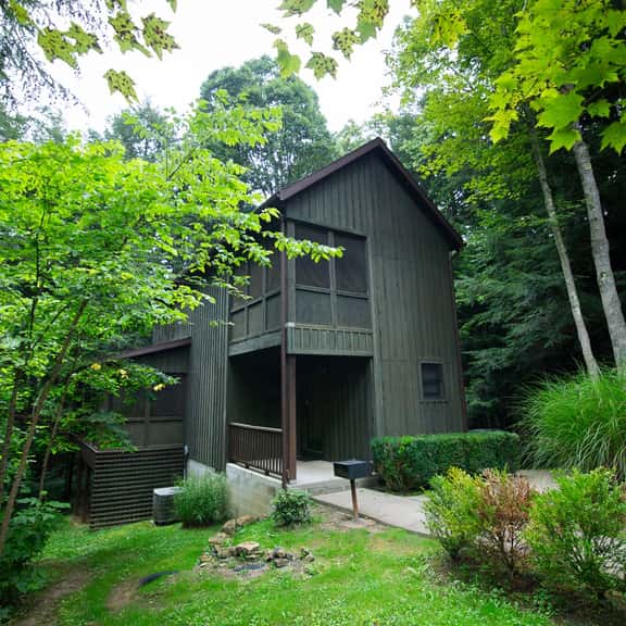 Ravine - Hocking Hills - Image 1