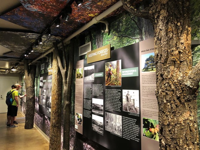 Explore Museums in Ohio Near the Hocking Hills