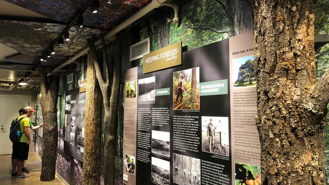 Explore Museums in Ohio Near the Hocking Hills