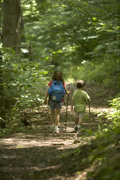 children-hiking-in-the-forest