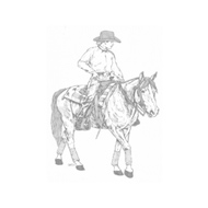 Horseback Riding Company Spotted Horse Ranch