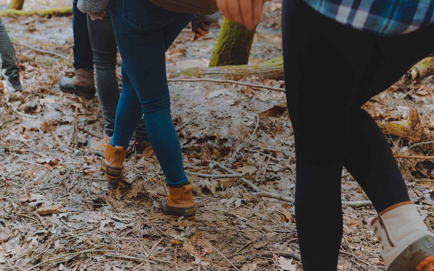 Hiking In Hocking Hills