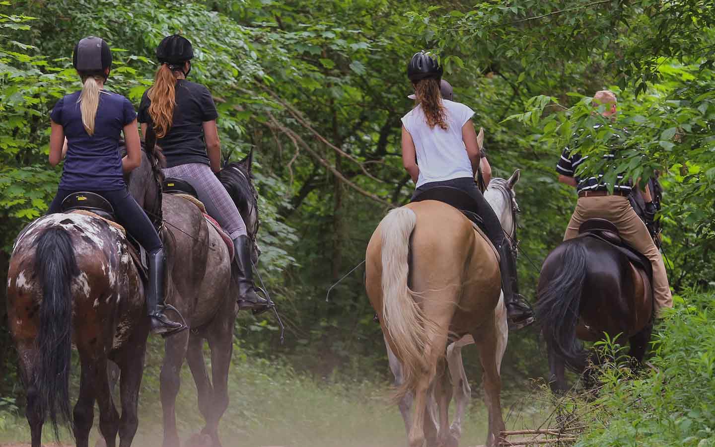 Horseback Riding Hocking Hills