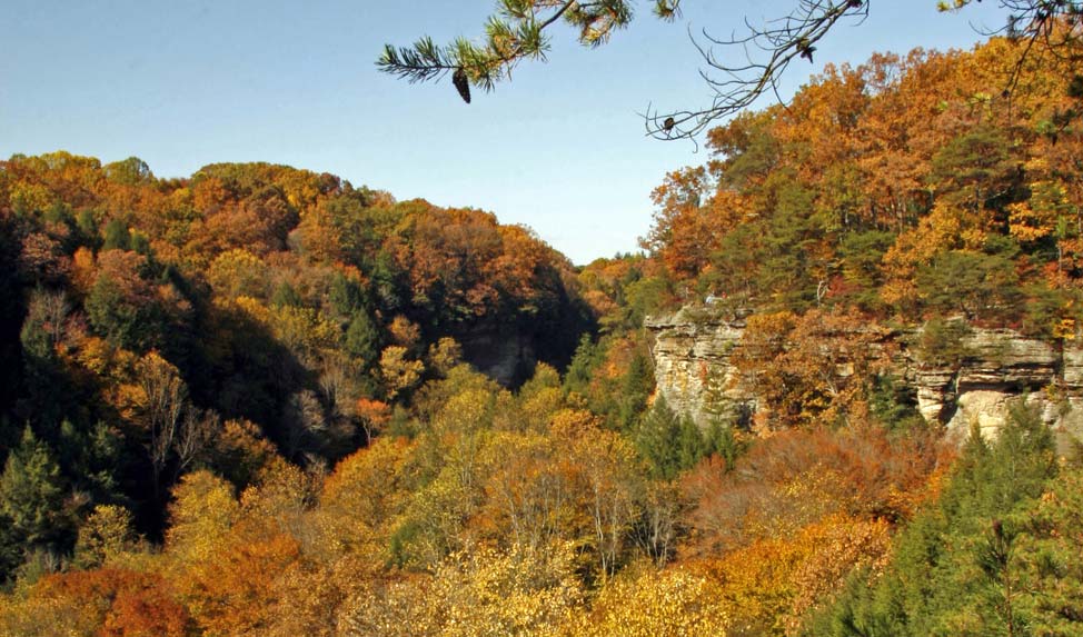 Favorite Hocking Hills Fall Foliage Driving Routes