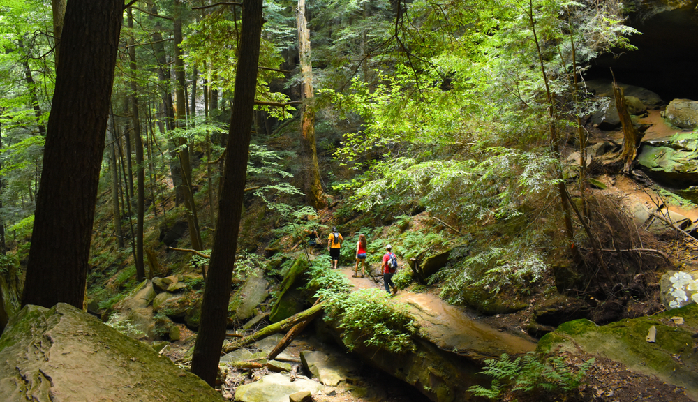 Embark on Hocking Hills Eco and Nature Tours